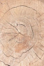 Deursticker houtstructuur_402682882